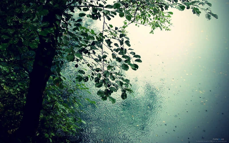 老年人参与篮球封闭训练的注意事项_0